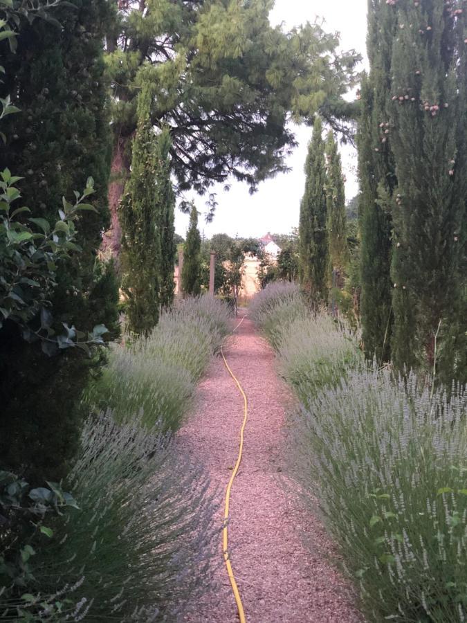 Les Jardins Haute Couture Huismes Exterior photo