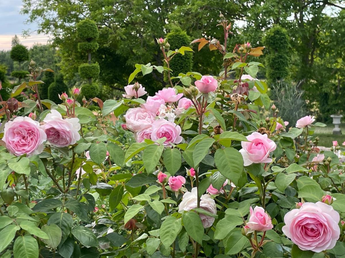 Les Jardins Haute Couture Bed & Breakfast Huismes Exterior photo